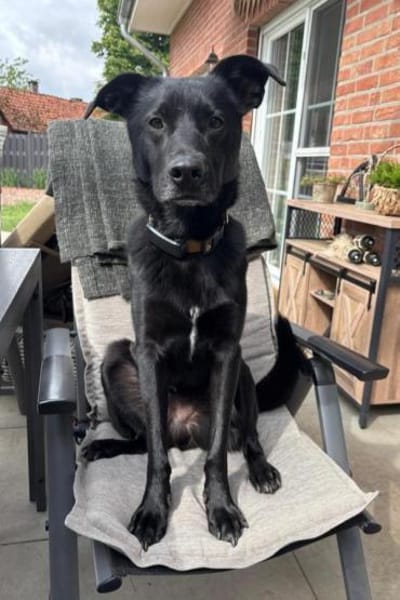 FIETE sucht ein neues Zuhause