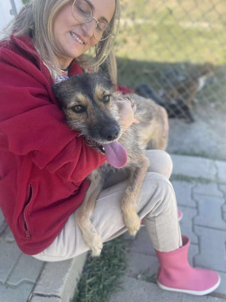 Candy, Zucker, wie der Name sagt