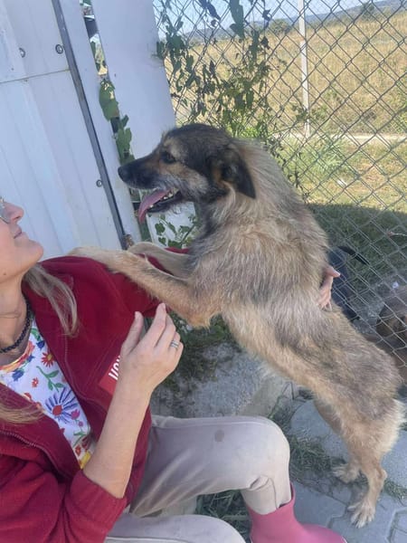 Candy, Zucker, wie der Name sagt