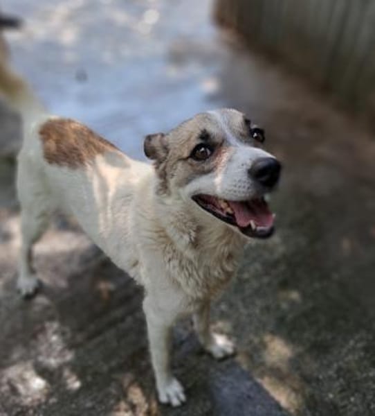 Eri - Kuschelmaus - VORGEMERKT