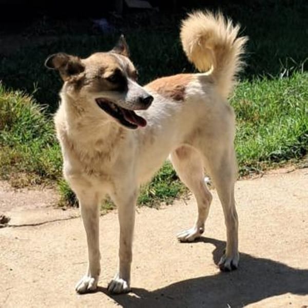 Eri - Kuschelmaus - VORGEMERKT