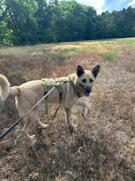 Phili  gerettet und dann?