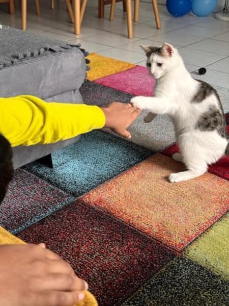 süßes Bruderduo Felix u.Findus am Rhein