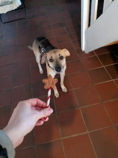 Hier kommt der süße Kalle 🐾