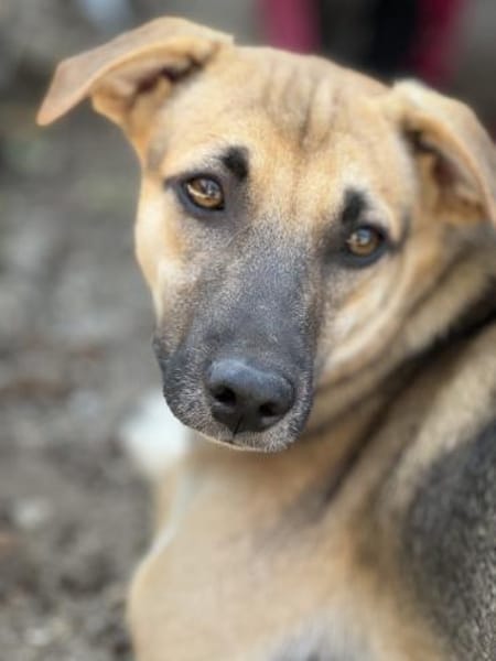 Hier kommt der süße Kalle 🐾