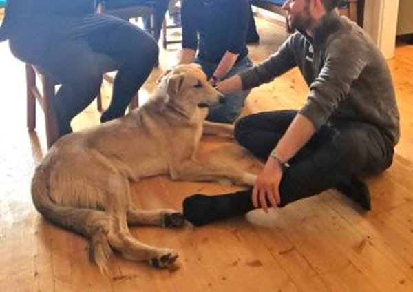 Rookie - freundlich und intelligent