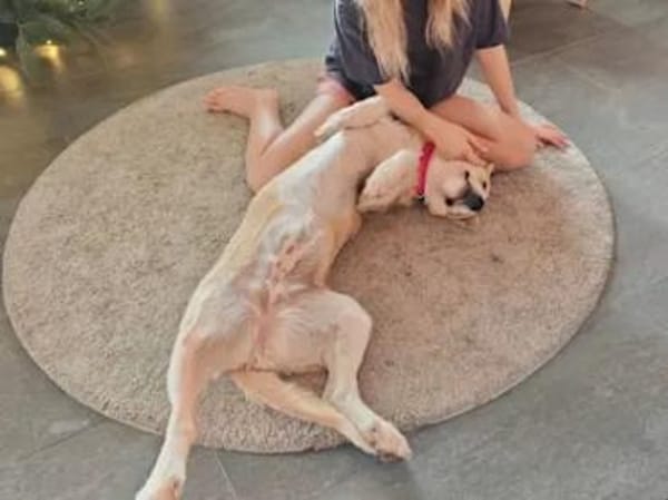 ROSARIA - sauf Pflegestelle im Saarland