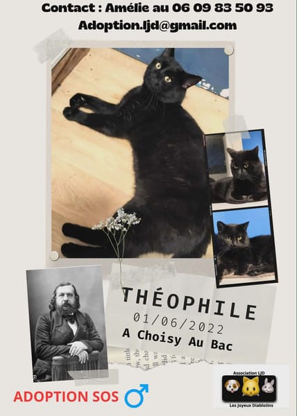 Théophile
