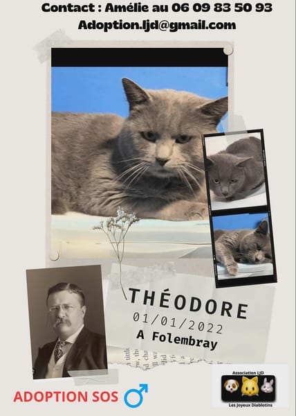 Théodore