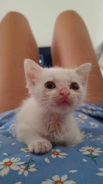 Lily Rose, la plus mignonne