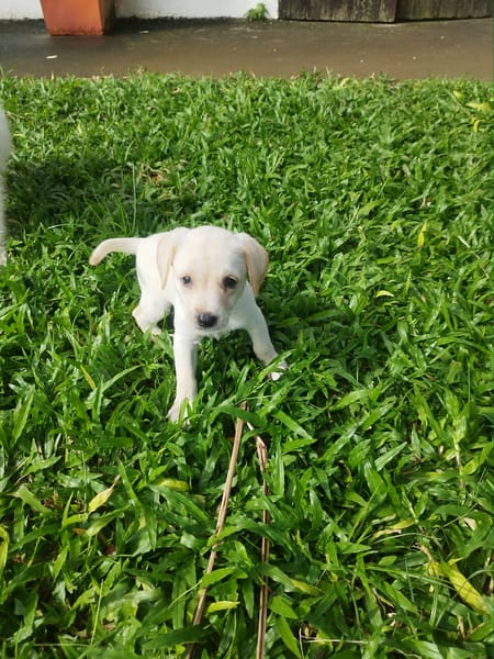 Jade, le rayon de soleil