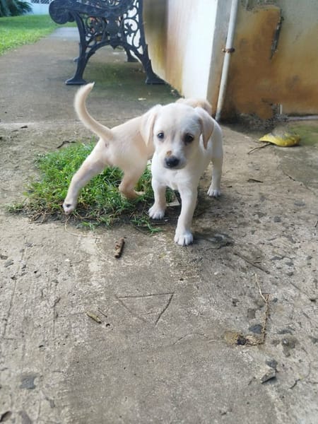 Jade, le rayon de soleil