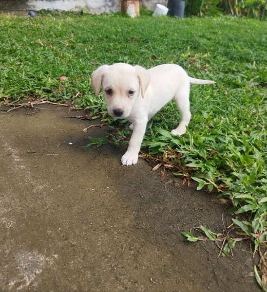 Jade, le rayon de soleil