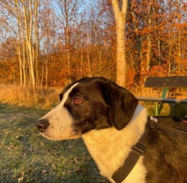 GEOBRA * freundlich und verschmust