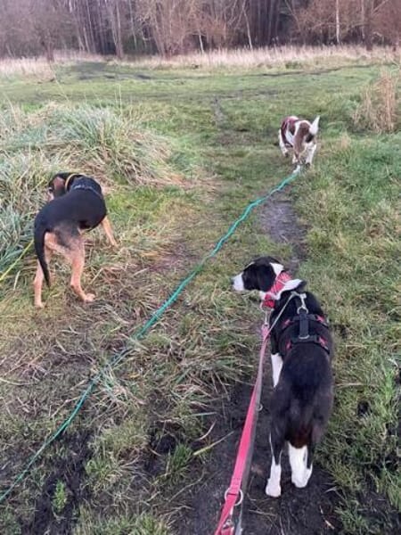 GEOBRA * freundlich und verschmust