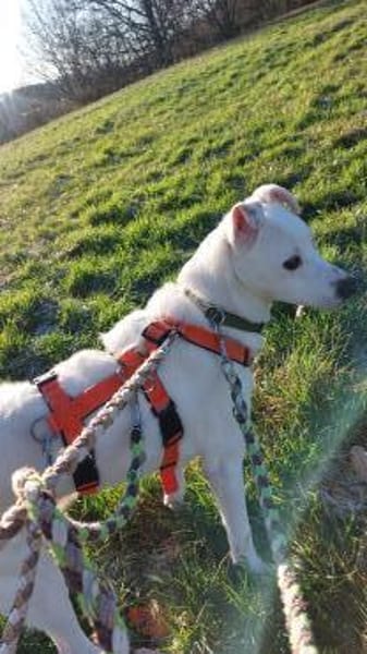 Chance - sooo tapfer