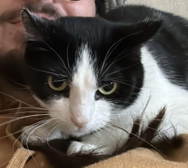 Sora & Kayda - Vermittlungshilfe !!!