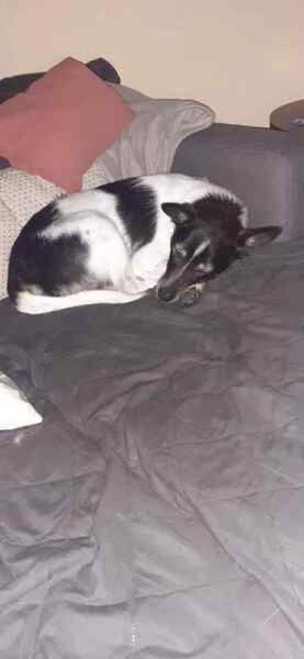 ISSKO * freundlicher Bub im besten Alter