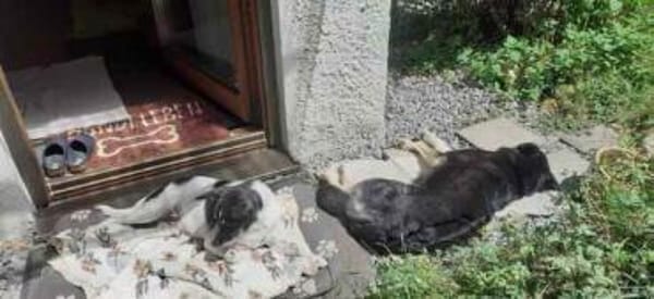 ISSKO * freundlicher Bub im besten Alter