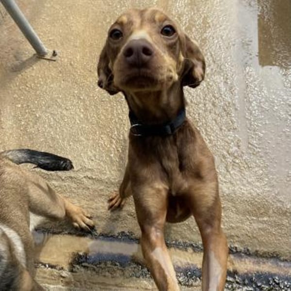 Zoe ist einfach nur lieb