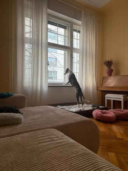 Hypathia - kontaktfreudig und freundlich