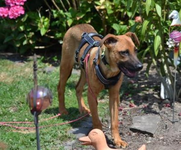 Meda möchte mit Dir die Welt entdecken.