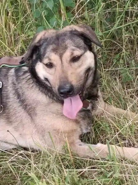 AYLA * ruhige, schüchterne Sie