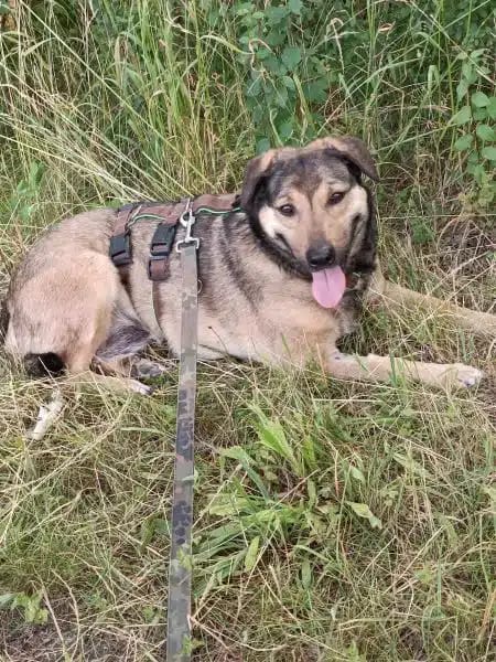 AYLA * ruhige, schüchterne Sie