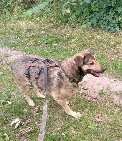 AYLA * ruhige, schüchterne Sie