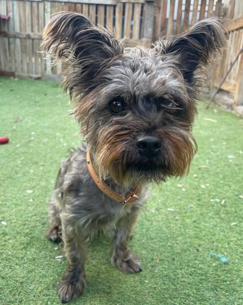 LAYA 💛 bezaubernd, lieb, verträglich