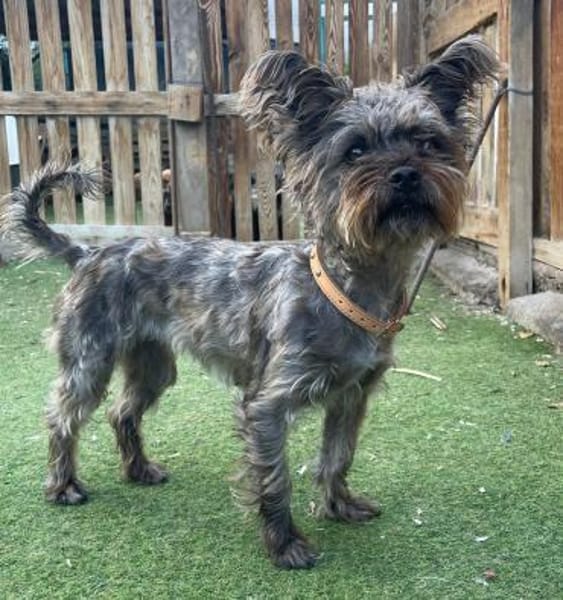 LAYA 💛 bezaubernd, lieb, verträglich