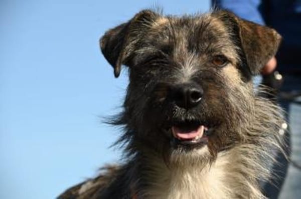 Wunderschöner frecher Ariel