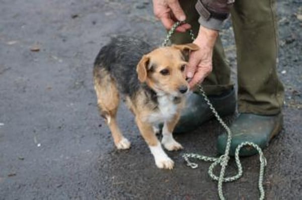 Ranie - zutraulich u. sehr liebenswert