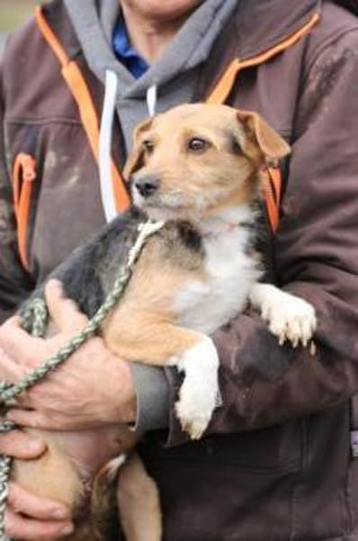 Ranie - zutraulich u. sehr liebenswert