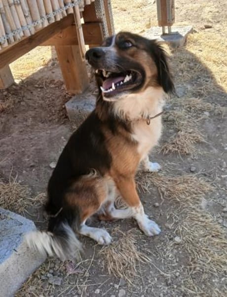 Aufgeweckter Raider will gefallen