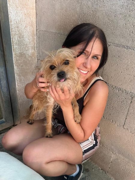 MARLEY, m., kastr., Yorkshire-Mix