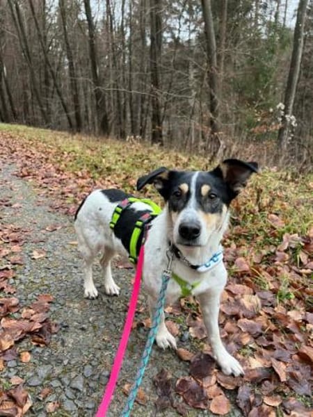 LILOFEE -Bezaubernde, zarte Seele-