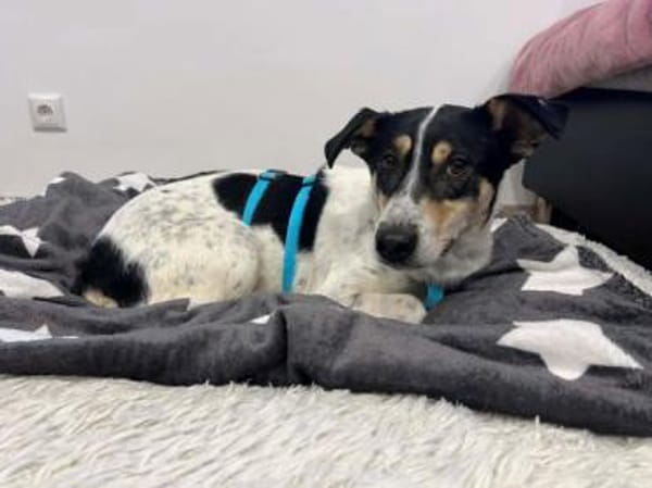 LILOFEE -Bezaubernde, zarte Seele-