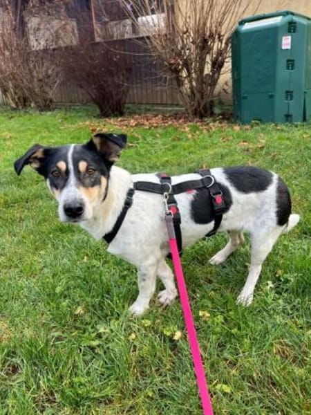 LILOFEE -Bezaubernde, zarte Seele-