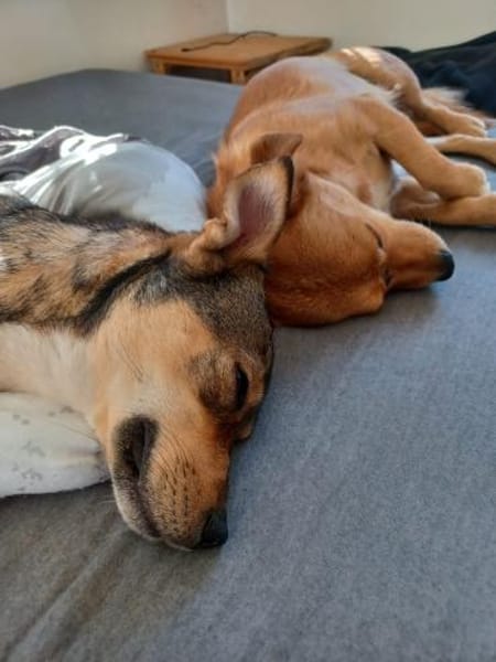 Schüchterner, super süßer CARLOS!