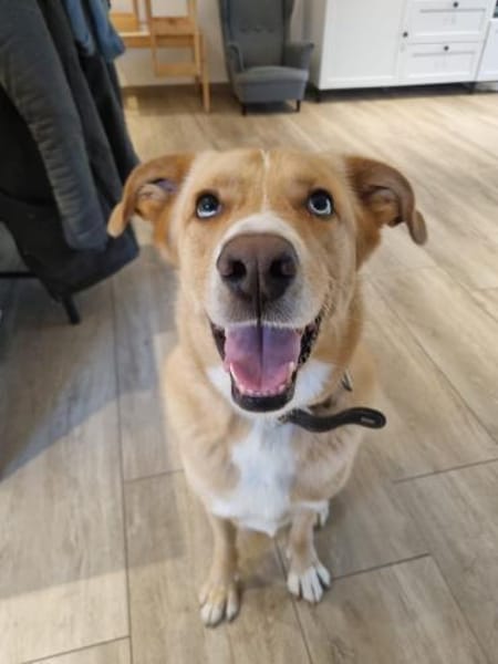 Diego aus 45659 Recklinghausen