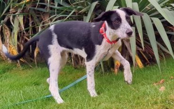 Christina wünscht sich eine Familie