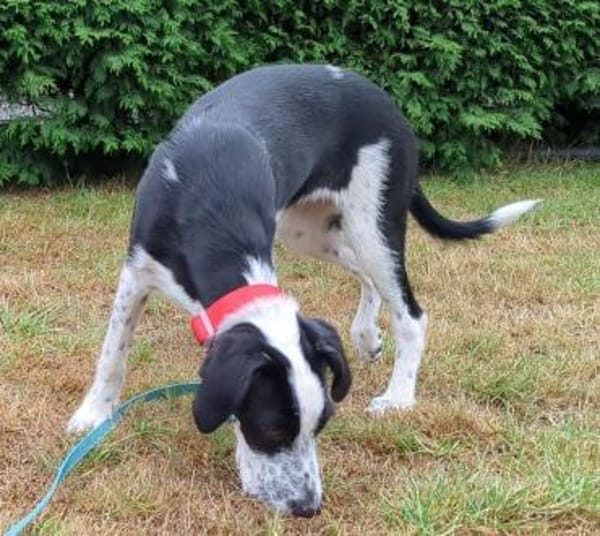 Christina wünscht sich eine Familie