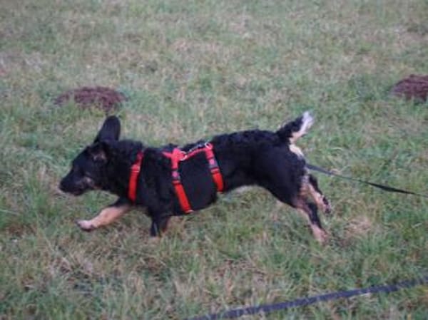 Thora hofft auf ihre neue Chance