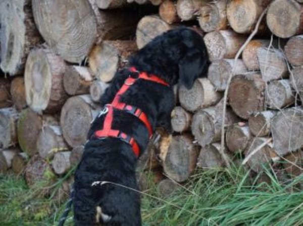 Thora hofft auf ihre neue Chance