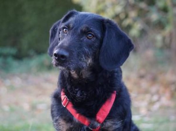 Thora hofft auf ihre neue Chance