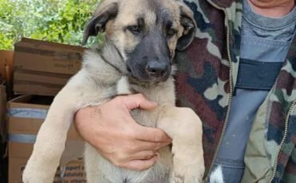 Butschek wartet auf dich!