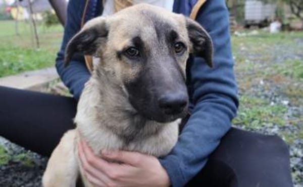 Butschek wartet auf dich!