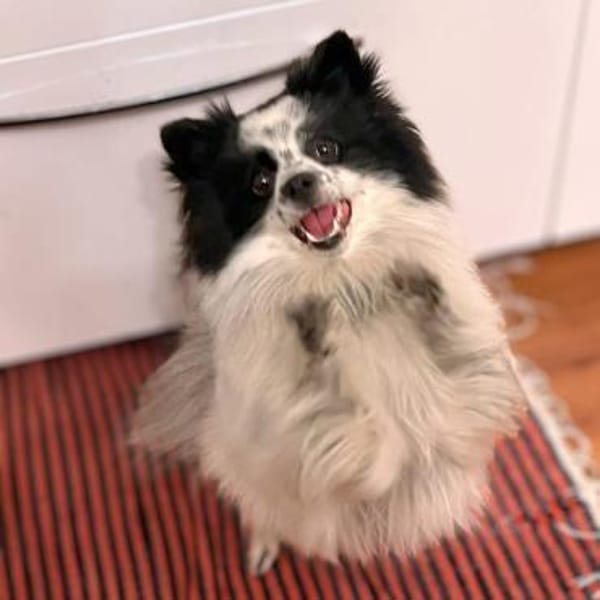 Zoe - ist kommunikativ