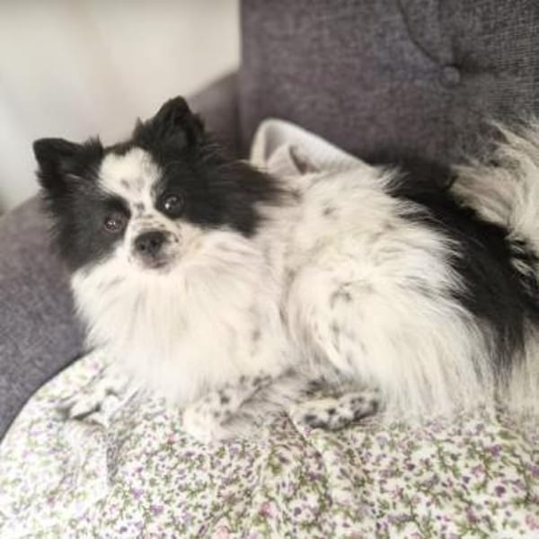 Zoe - ist kommunikativ